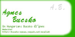 agnes bucsko business card